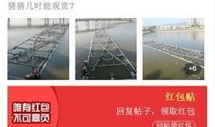 今天3d爆料最新,今日爆料带你领略未来光影盛宴