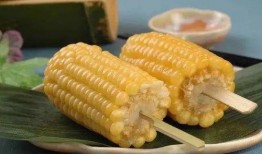 鹭岛爆料玉米肠视频下载,玉米肠视频下载，揭秘美食背后的秘密